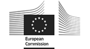European commision gtlm