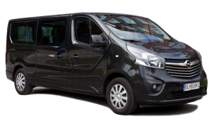 gtlm limousine service, fleet mercedes benz, 8 seater minivan transfer