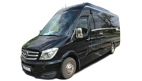 gtlm limousine service, fleet mercedes benz, sprinter minibus 19 seaters high deck